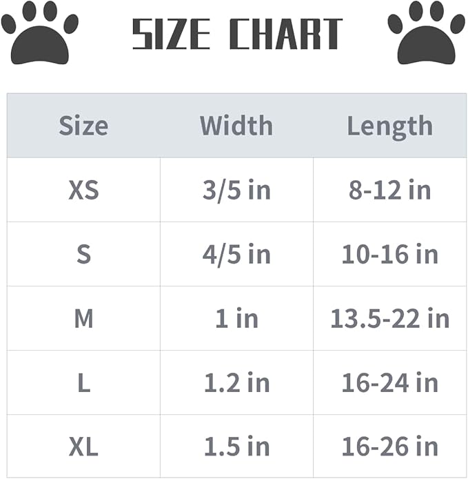 Lionet Paws Dog Collar, Comfortable Cute American Collar with Metal Buckle for Male Female Dogs Gift, July of 4th, Small, Neck 10-16 inches