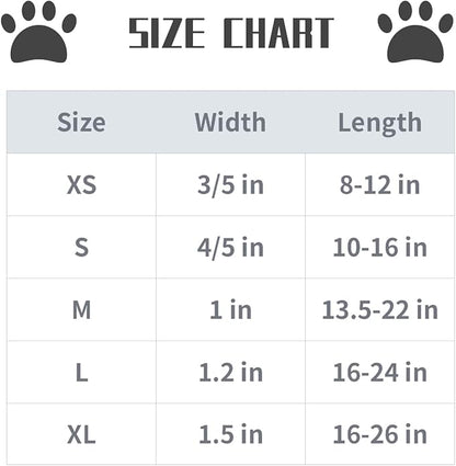 Lionet Paws Dog Collar, Comfortable Cute American Collar with Metal Buckle for Male Female Dogs Gift, July of 4th, Small, Neck 10-16 inches