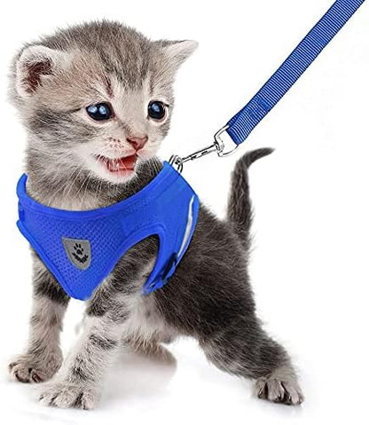 FEimaX Dog Harness and Leash Set for Walking, Soft Mesh Adjustable Easy Control Lightweight Cat Vest Harnesses with Reflective Strips, Escape Proof Small Dogs Cats Vests (Blue, X-Small)