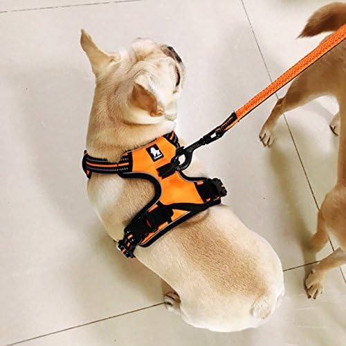 Reflective Nylon No-Pull Dog Harness and Training Leash Set Padded Durable Adjustable(XS, Orange Set)
