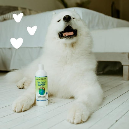 earthbath, Green Tea & Awapuhi Shed Control Dog Shampoo - Cruelty Free Dog Shampoo, Helps Relieve Shedding & Dander, Gentle Dog Wash, Made in USA, Dog Bathing Supplies - 16 Oz (1 Pack)
