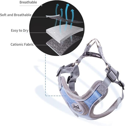 Step-in Dog Harness, Adjustable Reflective Small Dog Harness and Leash Set, Soft Air Mesh Vest Kit for Small Medium Breed Puppy and Cats (XS, Blue)