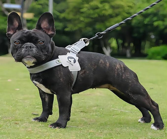 Pet Dog Cat Harness, Pet Harness with Leash Set, Adjustable Puppy Harness Comfortable Reflective Easy Control Dog with Leather Leash, No-Pull No Choke Pet Harness for Training Walking