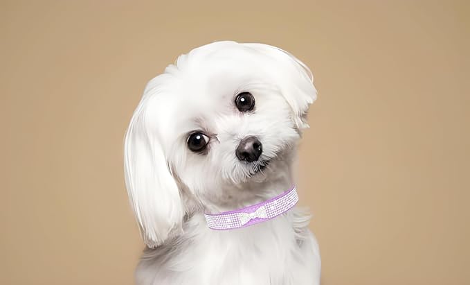 Hot Pink Bling Dog Collars for Medium Dogs, Diamond Puppy Collar with Jeweled Crystal Sparkling Glitter Girl's Cat Collar Adjustable for Small Medium Dogs, M