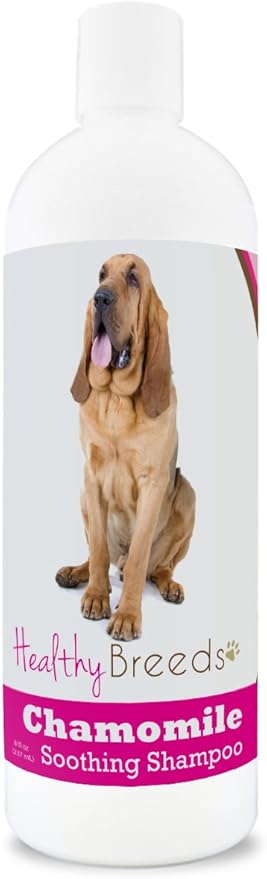 Healthy Breeds Bloodhound Chamomile Soothing Dog Shampoo 8 oz
