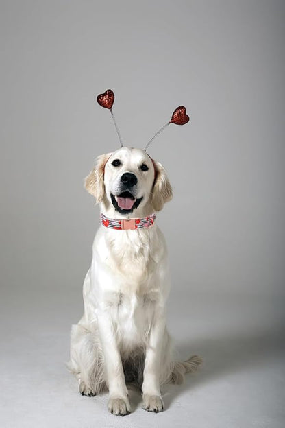 Lionet Paws Valentine Day Dog Collar, Heavy-Duty Cute Red Heart Pattern Fabric Pet Collar with Metal Buckle Necklace for Medium Large Gift, Neck 16-24 inches
