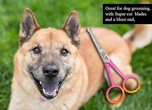 Focus World Professional Pet Dog Grooming Scissors Straight Shears Tool Durable 4"