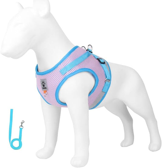 leconpet Dog Harness and Leash Set, Reflective Step in Harness Vest Set-Hook and Loop Fasteners and Buckle Design Combined with Double D Ring on The Back and Chest Ring (Pink, S)