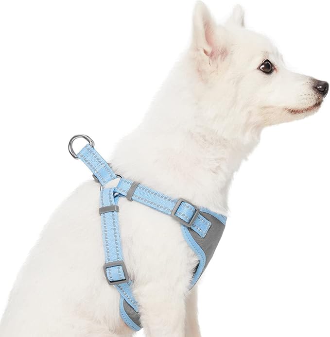 Blueberry Pet Essentials Pastel Color Reflective Dog Harness Vest, Chest Girth 29" - 38.5", Baby Blue, Large, Adjustable Harnesses for Dogs