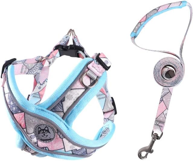 PT-010 Pet Dog Puppy No-Pull Harness Walking Training Harness with Leash Reflective Vest (Blue, X-Small)