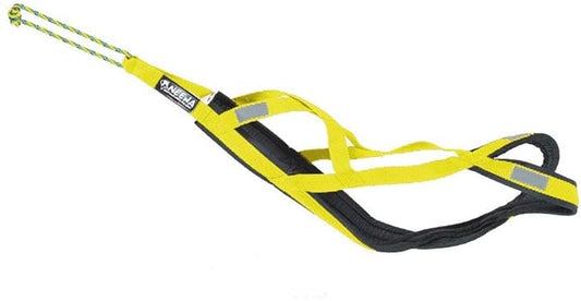 Neewa Pro Sled Dog Harness (Yellow, XXX- Large (Neck 22 Chest 38 Back 26))