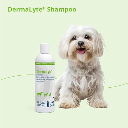 Shampoo, 12 Ounce
