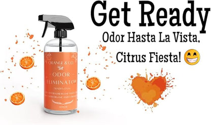 Orange & Co. Traditional Pet Odor Eliminator - Strong Citrus Formula for Stubborn Dog and Cat Pee Odors on Carpet, Furniture, and Indoor/Outdoor Floors - Deodorizer - 16 Fluid Ounces - Puppy Supplies
