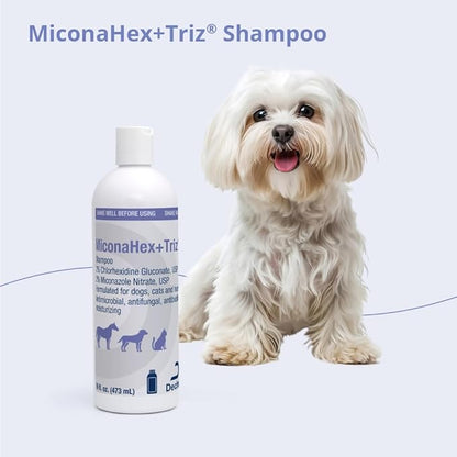Shampoo for Dogs, Cats and Horses, 16 oz