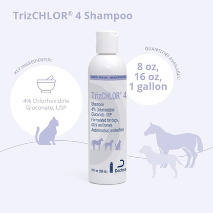 TrizCLHOR 4 Shampoo, 8 Ounce
