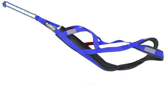 Neewa Pro Sled Dog Harness (Blue, Small (Neck 16 Chest 26 Back18))