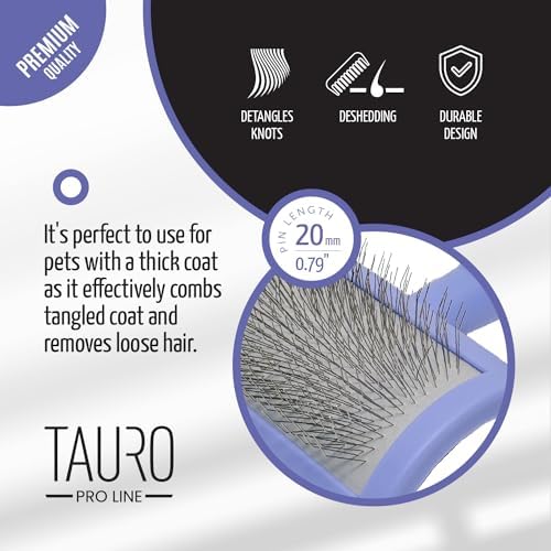 Dog Brush for Shedding Long and Short Hair, Plastic Soft Slicker for Grooming Haired Dogs and Cats, Flexible Cushion and Non-Slip Grip, Rectangular, 4,13 x 6,29 inch, Purple