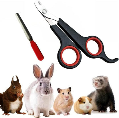 HAICHEN TEC Rabbit Nail Clippers and Trimmers Stainless Steel Pet Claw Grinding Scissors for Small Breeds Cats Guinea Pig Puppy Ferret Hamsters Chinchilla Sugar Glider Grooming Tool Set (Black)