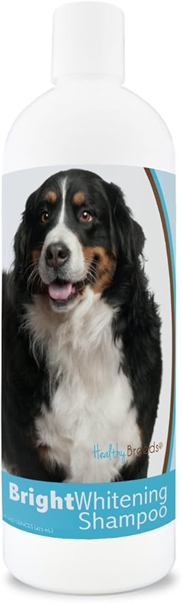 Healthy Breeds Bernese Mountain Dog Bright Whitening Shampoo 12 oz