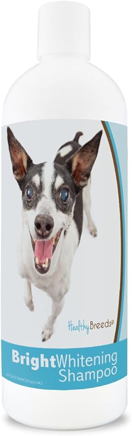 Healthy Breeds Rat Terrier Bright Whitening Shampoo 12 oz