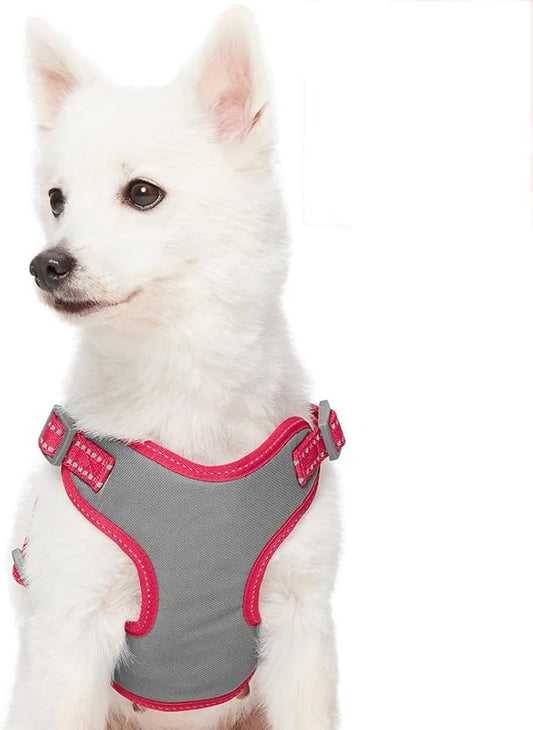 Blueberry Pet Essentials Pastel Color Reflective Dog Harness Vest, Chest Girth 22" - 26", Very Berry, Medium, Adjustable Harnesses for Dogs