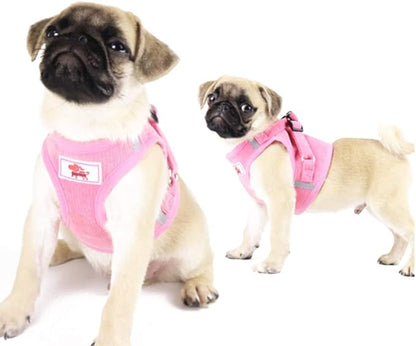 FEimaX Dog Harness and Leash Set, No Pull Reflective Adjustable Pet Harnesses for Puppy Kitten Soft Corduroy Chest Harness for Small Medium Dogs and Cats Easy Control Vest for Outdoor Walking