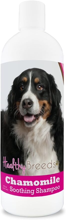 Healthy Breeds Bernese Mountain Dog Chamomile Soothing Dog Shampoo 8 oz