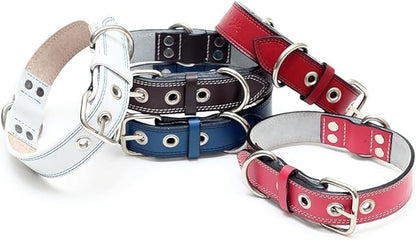 Genuine Leather Dog Collars with Stainless Steel Buckle and Double D Rings– Unbreakable! (9"-12", Tan)