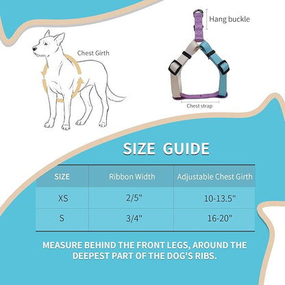 Tri-Color Dog Harness and Purple Pink Gradient Shock Absorbing Dog Leash Set,Step-in Freedom Dog Vest Harness,Strong Padded Handle to Help Stop Pulling for Large Dog Walking and Traning