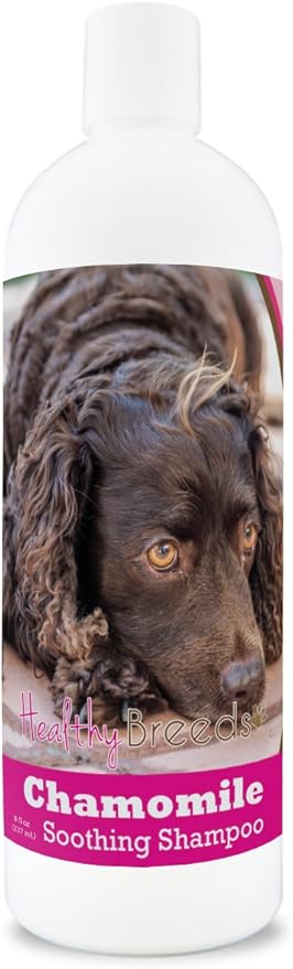 Healthy Breeds American Water Spaniel Chamomile Soothing Dog Shampoo 8 oz
