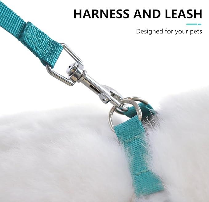 Beirui Small Dog Harness and Leash Set, No Pull Step-in Harness for Puppy, Lightweight Air Mesh Pet Harness for Medium Dogs (Blue, M)