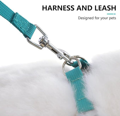 Beirui Small Dog Harness and Leash Set, No Pull Step-in Harness for Puppy, Lightweight Air Mesh Pet Harness for Small Dogs (Blue, XS)