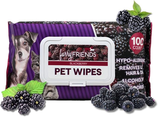 FurryFriends Pet Wipes | BlackBerry | Hypo-allergenic | Alcohol Free| Deodorizing | Removes Loose Hair & Dirt | Incredibly Clean | 100 ct. 2 Pack