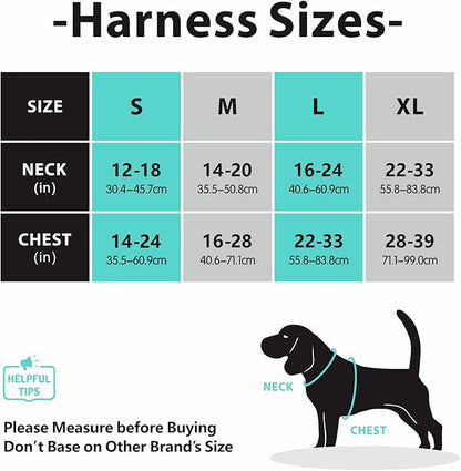 PoyPet No Pull Dog Harness, No Choke Front Clip Dog Reflective Harness, Adjustable Soft Padded Pet Vest with Easy Control Handle for Small to Large Dogs(Mint Blue,M)