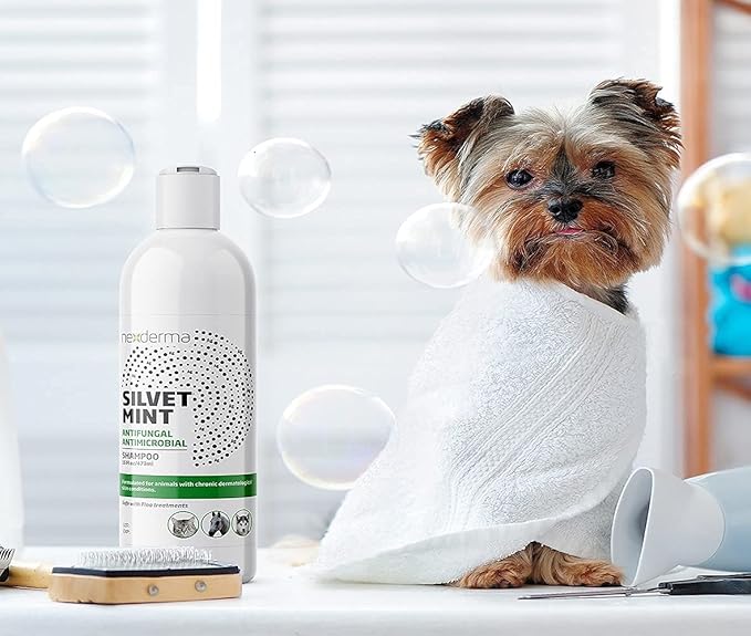 Natural Colloidal Medicated Pet Shampoo for Dogs and Cats - Tearless Hypoallergenic, Soap Free with Coconut Oil and Mint, Relief for Allergies, Odor, Itchy, Dry, Irritated Skin - 16oz, 1Pack