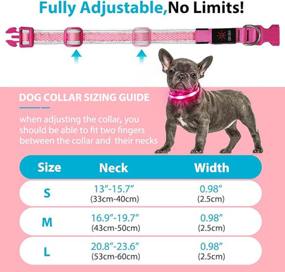 BSEEN Light Up Dog Collar - Reflective LED Dog Collar Light, Adjustable Glowing Puppy Collar, Rechargeable Dog Camping Gear Dog Walking Lights for Small Medium Large Dogs (Small, Pink Ⅱ)