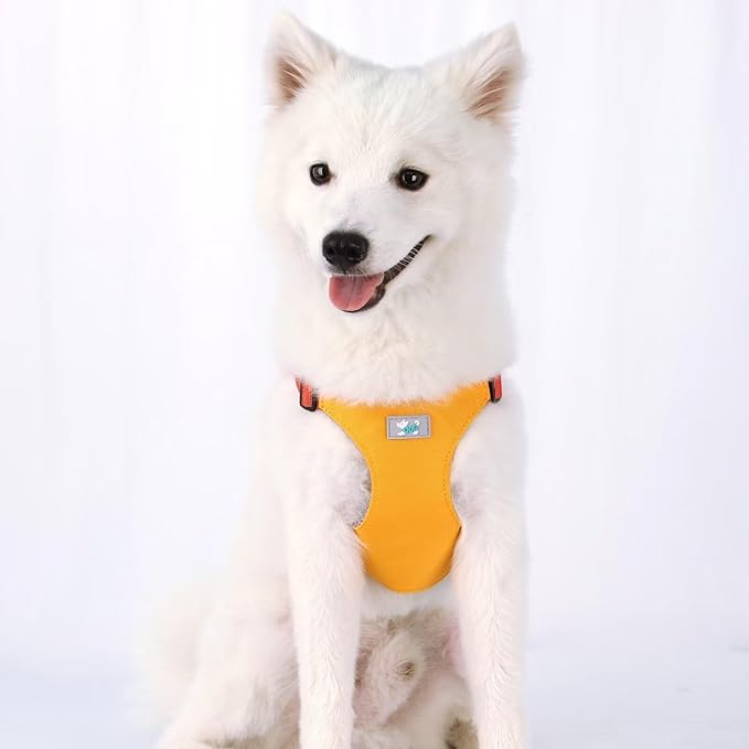 Beirui Small Dog Harness and Leash Set, No Pull Step-in Harness for Puppy, Lightweight Air Mesh Pet Harness for Medium Dogs (Yellow, M)