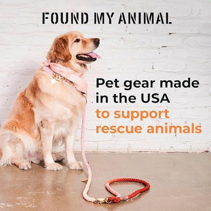 FOUND MY ANIMAL - The Original Prismatic Cotton Cat & Dog Harness (Large) - Hand Dyed & Crafted Dog Harness - Adjustable, Pet Harness with Solid Brass Rings
