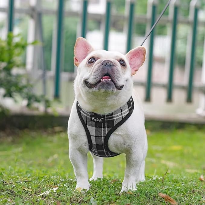 PUPTECK Soft Mesh Dog Harness and Leash Set Pet Puppy Cat Comfort Padded Vest No Pull Harnesses, Black&White, XS