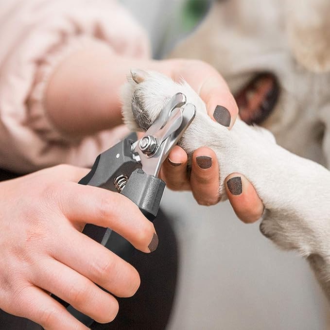 Pet Nail Clippers and Trimmers Set Safety Guard to Avoid Over Cutting Razor Sharp Blades Grooming Tool for All Small Large Dog Cat (Grey)