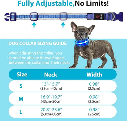 BSEEN Light Up Dog Collar - LED Dog Collar Rechargeable, Adjustable Reflective Dog Collar, Glow in The Dark Dog Camping Gear Dog Lights for Night Walking (Large Collar, Royal Blue)