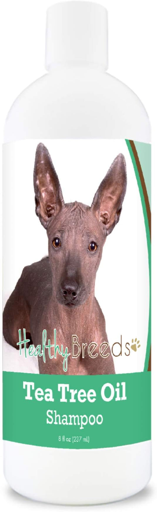 Healthy Breeds Xoloitzcuintli Tea Tree Oil Shampoo – Formulated for Dry, Irritated Skin – Reduce Dandruff – Wintergreen Scent – 8 oz