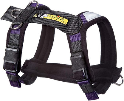 Urban Trail Adjustable Harness
