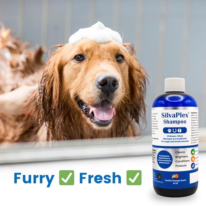 Ag21 Professional Chelated Silver Pet Shampoo & Conditioner - UV Protection, Coat Enhancing Formula for Dogs, Cats & Horses - Vet Recommended, Made in USA (16 oz)