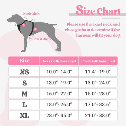 rabbitgoo No-Pull Pet Harness with 2 Leash Clips, Adjustable Soft Padded, Reflective No-Choke Pet Oxford Vest with Easy Control Handle for Large Dogs, Pink, L