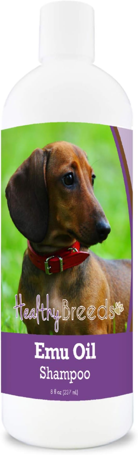 Healthy Breeds Dachshund Emu Oil Shampoo 8 oz