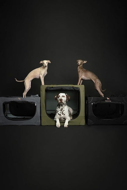 Noah & Paw Collapsible Dog Crate 36 Inches, XL Dog Crate for XL, Large Medium Breed, Travel Kennel for Car, Includes Pet Mat for Pet Cage, 2 Storage Pockets, Handbag, 10mm Locking Zippers 36*25*23