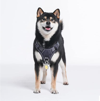 Pawaii Dog Harness for Small Dogs, Dog Harness with Pet ID Tag, No Choke Dog Harness, Adjustable Soft Padded Pet Vest with Easy Control Handle
