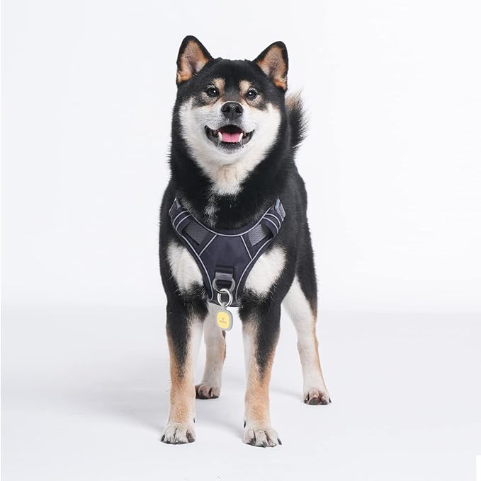 Pawaii Dog Harness for Medium Dogs, Dog Harness with Pet ID Tag, No Choke Dog Harness, Adjustable Soft Padded Pet Vest with Easy Control Handle