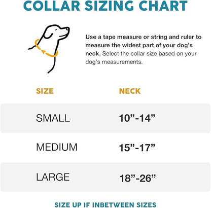 Embark Urban Dog Collar – Dog Collar Stylish & Durable Nylon Dog Collar for Large Dogs, Small Dogs & Medium Dogs.Comfortable Pet Collar Strong Buckles for Any Size Breed (Boho, Large)